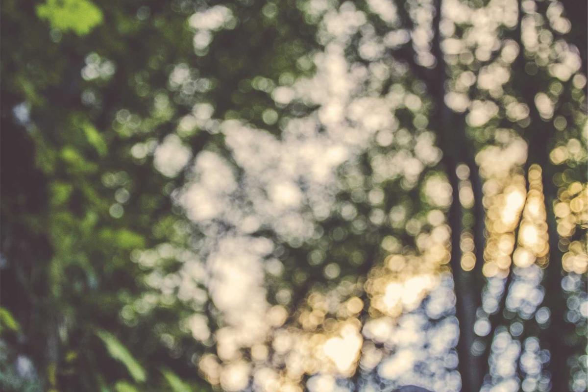 Jaisalmer fort sunset panoramic view - India travel guide