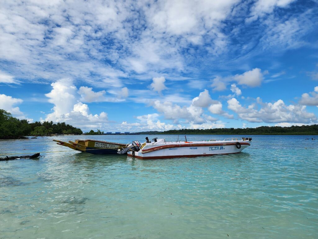 pexels benita philip 65591836 19774148