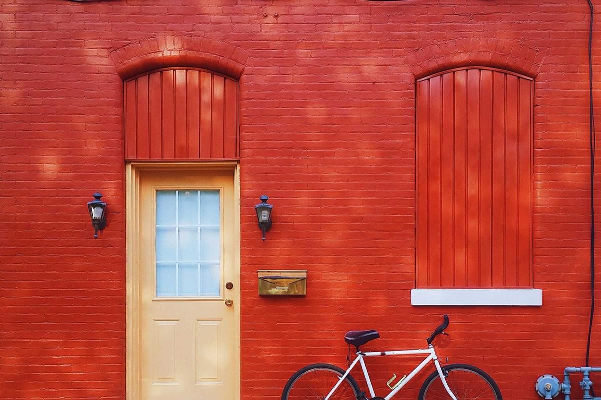 Little Rann Gujarat wild ass herd sunset - India travel guide