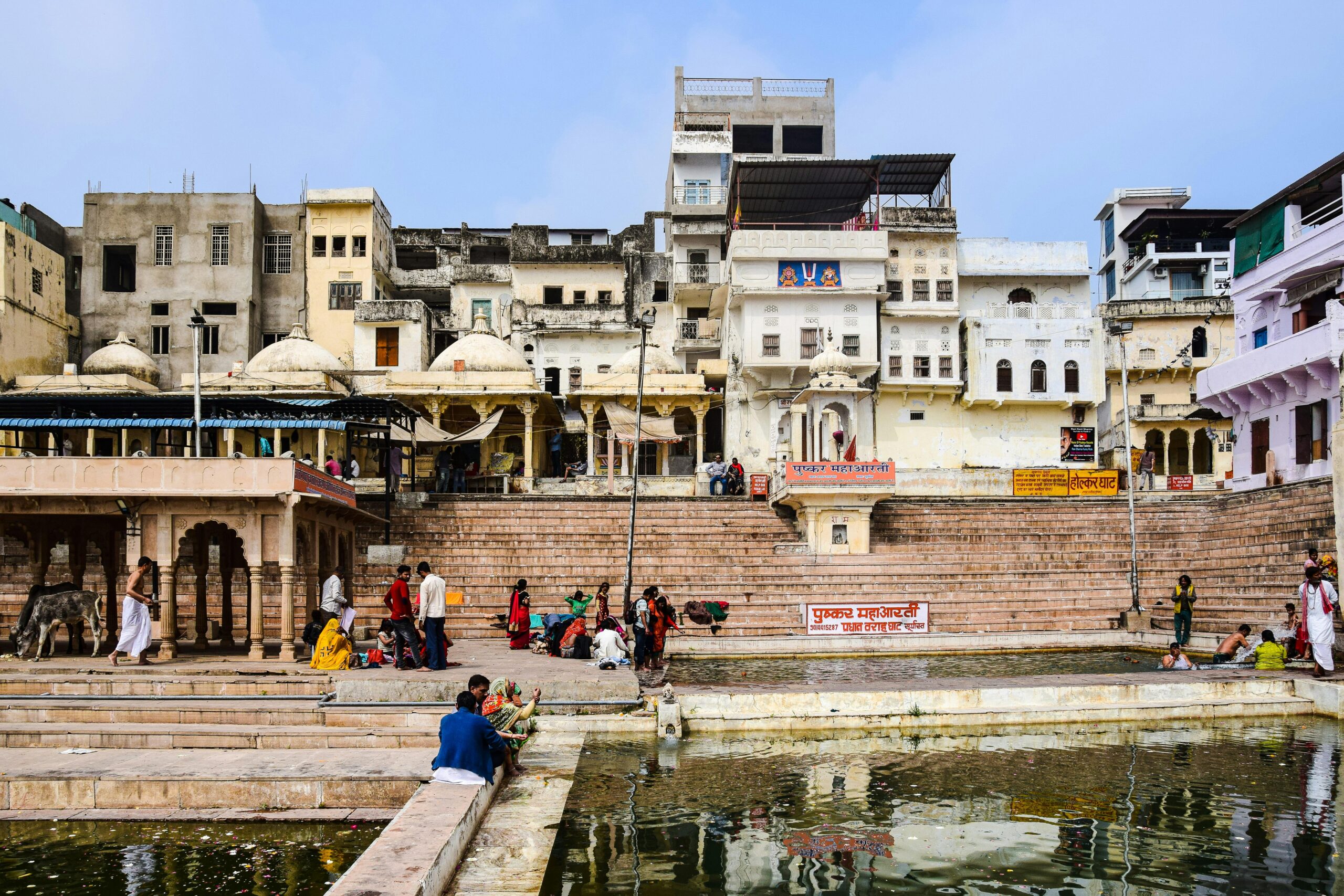 Pushkar lake ghats sunset lotus flowers - India travel guide