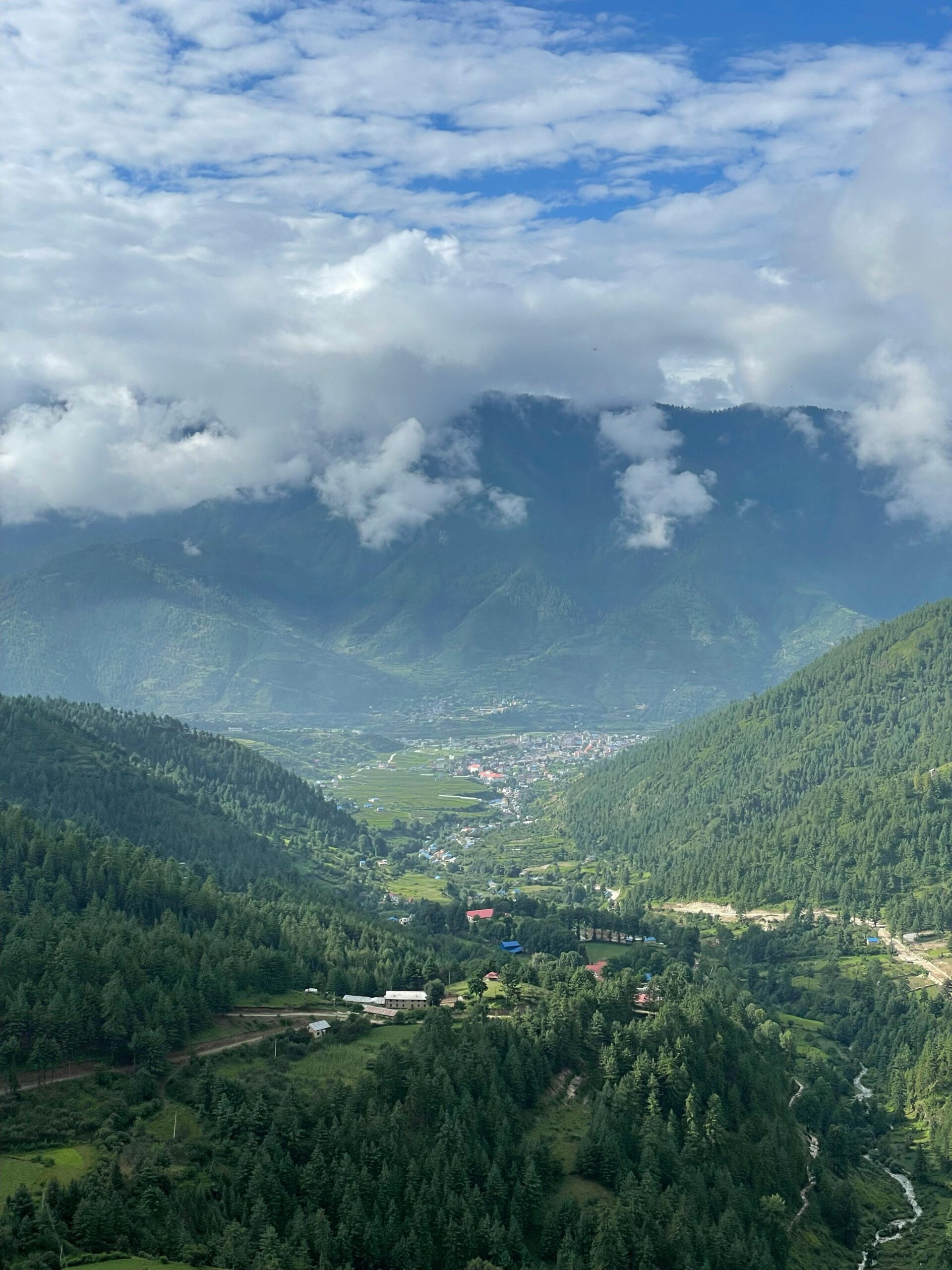 Rice terraces Ziro Valley Arunachal Pradesh - India travel guide