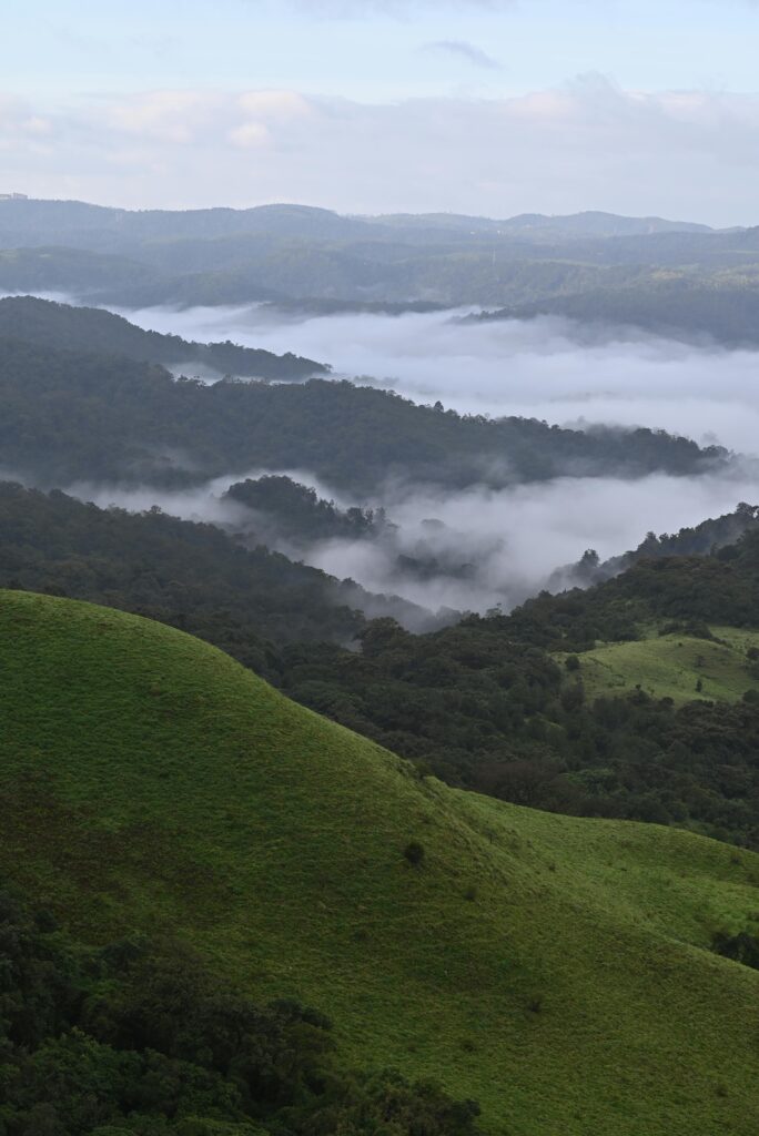 Exploring the Majestic Beauty of Coorg: A First-Timer’s Guide to Coffee Plantations, Waterfalls and Hill Stations – Monsoon Edition pexels logalongwithme 35688870