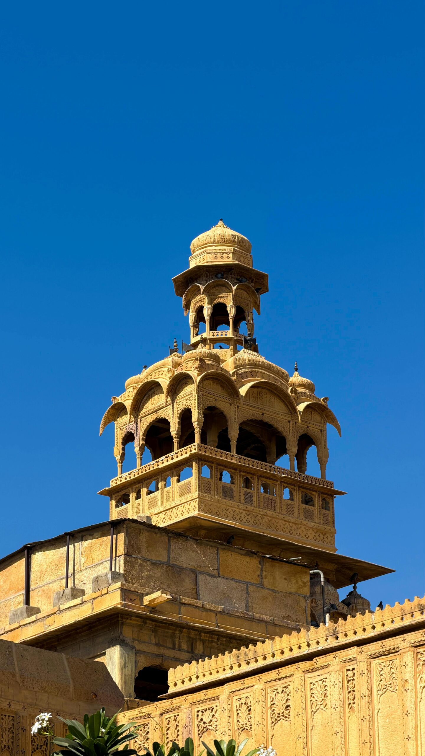 Exploring the Untamed Beauty of the Thar Desert: A First-Timer’s Guide to Jaisalmer & The Sam Sand Dunes – Forts, Camel Safaris and Stargazing Camel Safari Sam Sand Dunes - India travel guide
