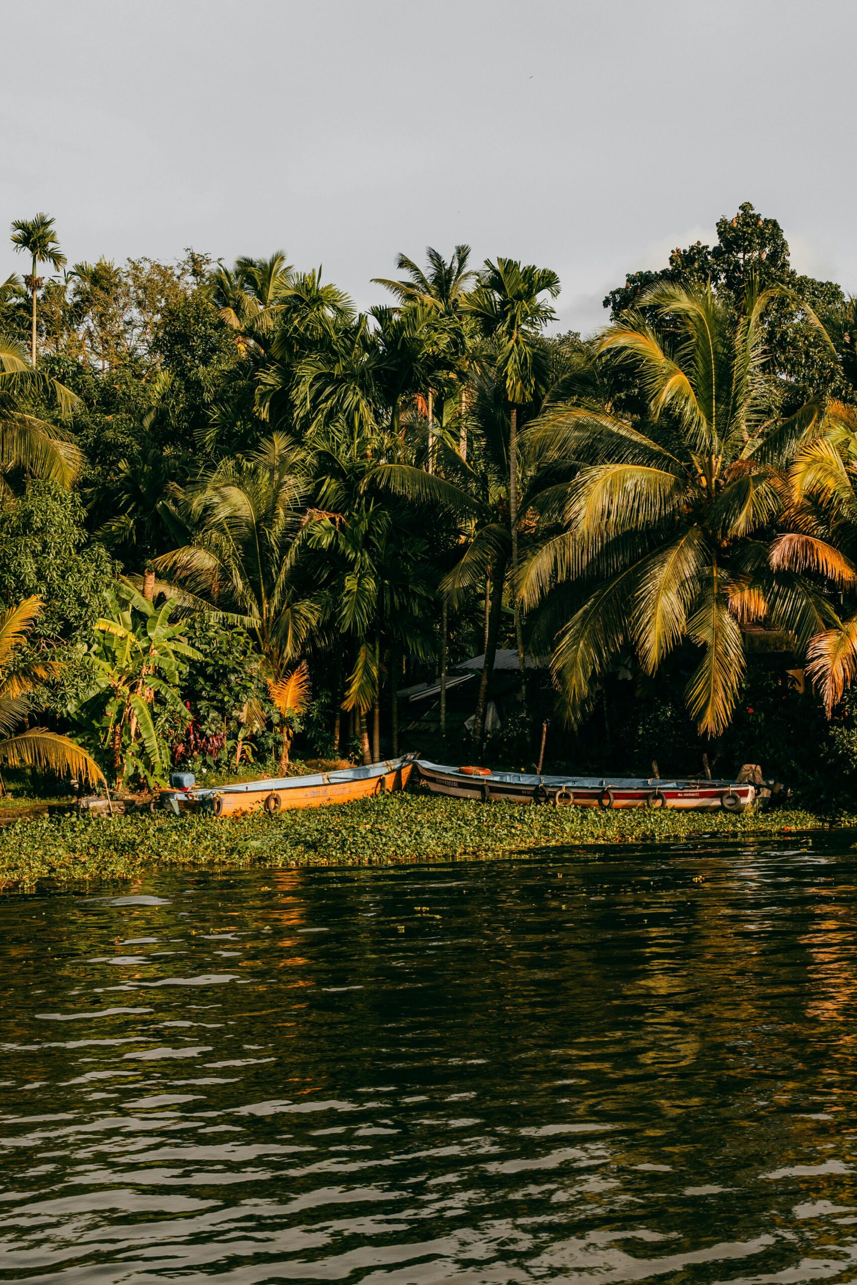 Ayurvedic Kerala massage - India travel guide