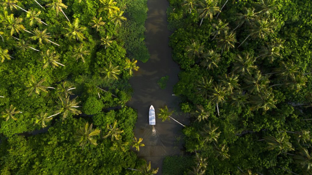 Exploring the Serenity of Kerala’s Backwaters: A First-Timer’s Guide to Alleppey & Kumarakom – Houseboats, Villages and Ayurvedic Retreats pexels swastikarora 19743480