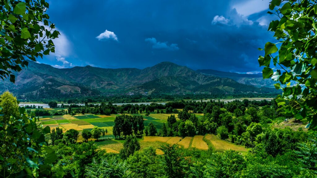 pexels tahir shaw 50609 186985