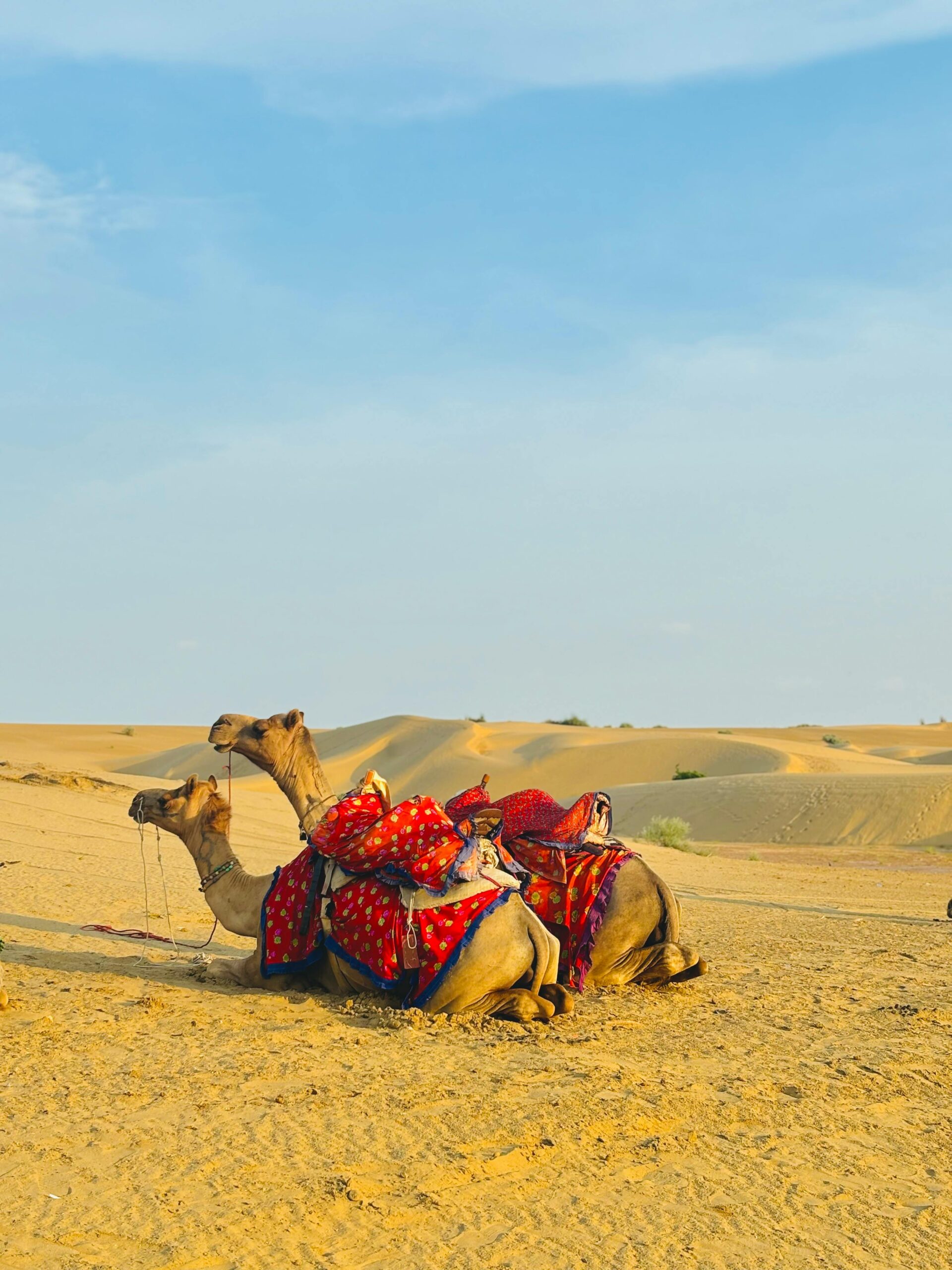 Exploring the Remote Beauty of Rajasthan’s Push Valley: A First-Timer’s Guide to Ancient Villages, Desert Landscapes and Unique Cultural Experiences – Discovering India’s Hidden Heart Kanhariya Village Bandhani Printing - India travel guide