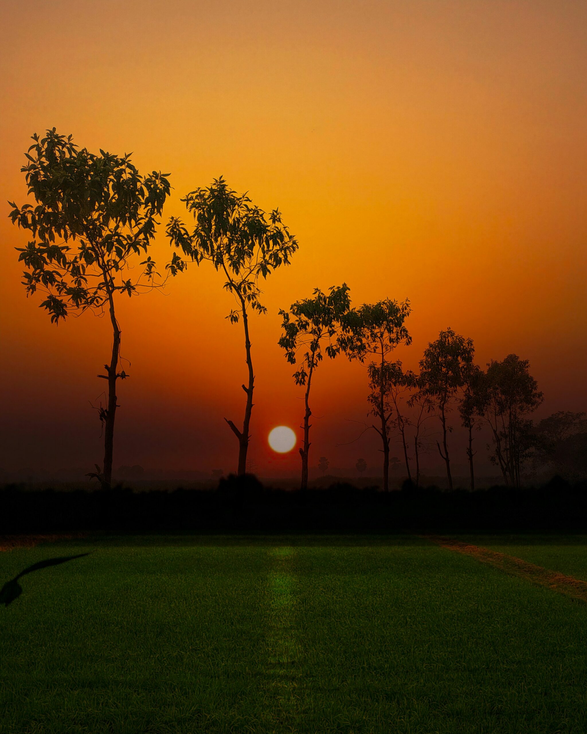 How to Spend 7 Days Exploring the Ancient Villages of Bihar – A First-Timer's Itinerary Varanasi ghats sunrise Ganges