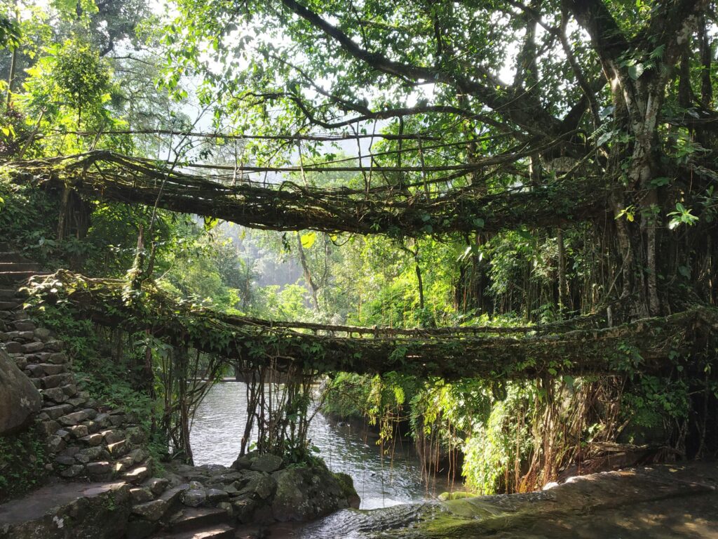Exploring the Hill Stations of Meghalaya: Mawlynnong, Cherrapunjee & Living Root Bridges – A First-Timer’s Guide utkarsh b pnrvndb1dpq unsplash