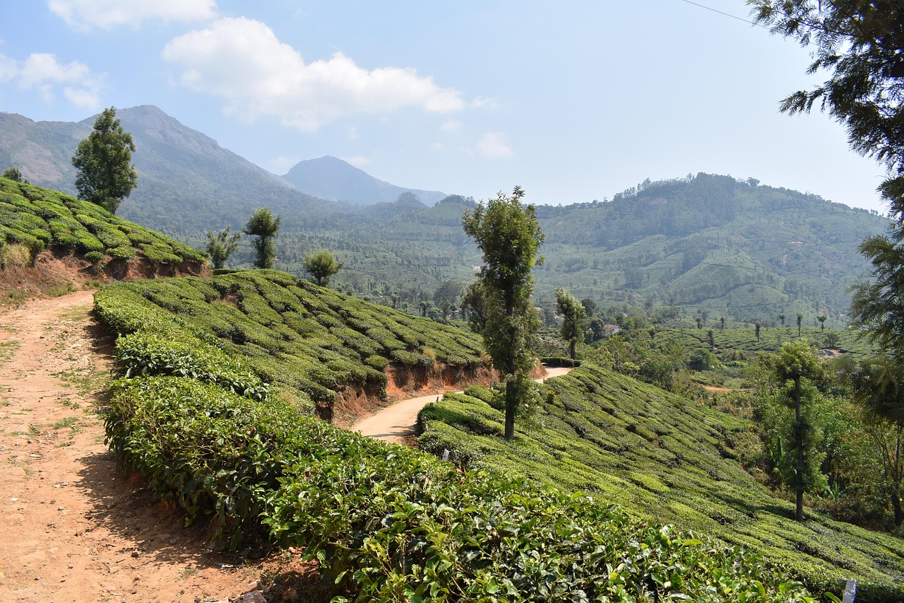 India Travel — india travel health tips